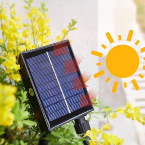 Solar LED String Light